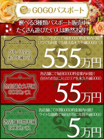 GOGOパス(27)